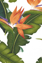 30elelu  - tropical vintage style, Hawaiian botanical fabric.