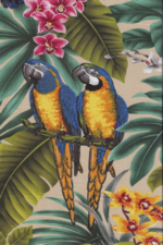 30mamo Birds - Parrots and Macaws with orchid flowers, cotton apparel fabric.
