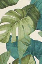 30nakoa All-Over. Stylized, multi-colored monstera, banana, and taro leaves..