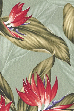 70polani