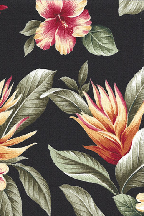 Olelo
 		 Black Vintage hibiscus, plumeria (frangipani), torch ginger and leaves on cotton upholstery fabric.