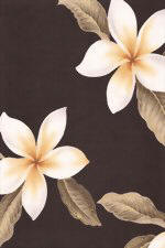 Plumeria Brown Hawaiian vintage Plumeria - Frangipani Flowers on a Brown colored cotton Upholstery Fabric