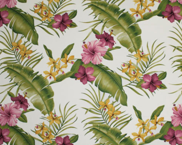 30hamakua white