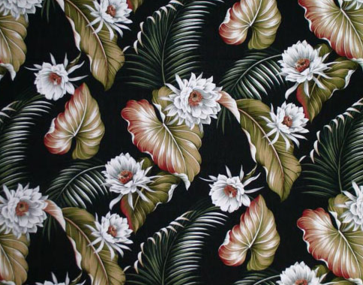 10night blooming black