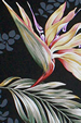 All-Over. Bird of paradise, orchids, heliconia and ferns layered over tone on tone plumeria leis. 