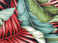 10banana leaf black