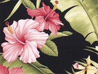 10hamakua ebony