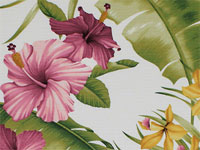 30hamakua white