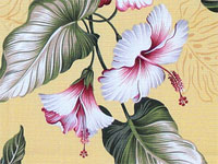 50kahului maize