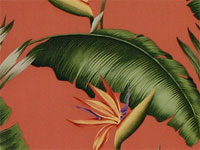 10lelina plumeria, bird of paradise
