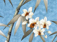 10lelina plumeria, bird of paradise