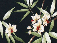 10lelina plumeria, bird of paradise