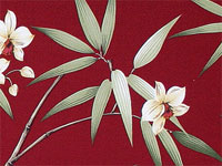 10lelina plumeria, bird of paradise