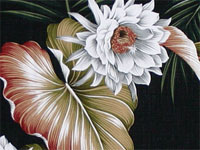 10night blooming black