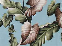 10lelina plumeria, bird of paradise