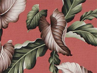 10lelina plumeria, bird of paradise