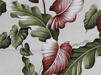 10lelina plumeria, bird of paradise