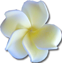 Hawaiian Plumeria Hair Ornament