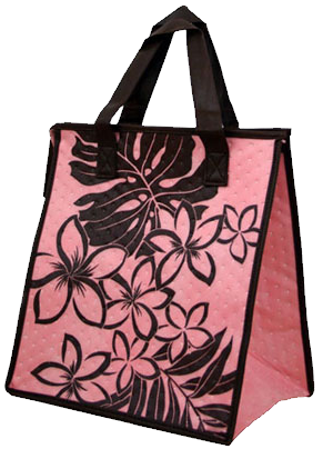 recycleable insulated zippered bag