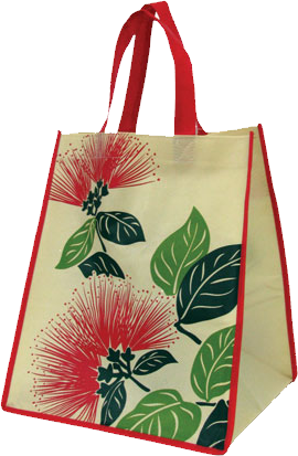 recycleable insulated zippered bag