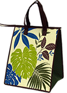 recycleable insulated zippered bag