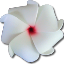 Hawaiian Plumeria Hair Ornament