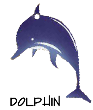 dolphin
