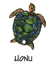 trurtle