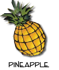 pineapple