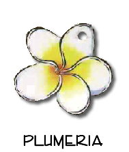 plumeria