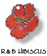 red/black Hibiscus
