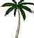 Palm Tree Motifs