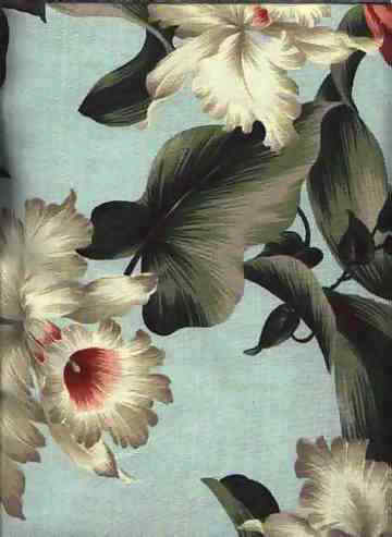 Click for overall view