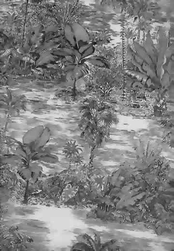 click for overall view