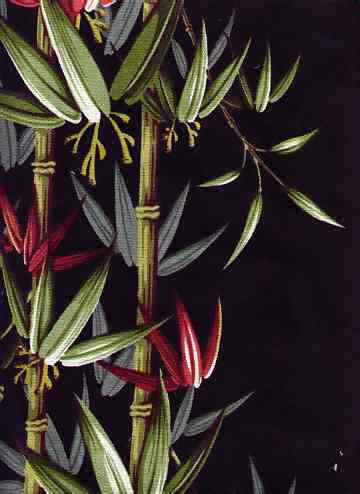 click for overall view