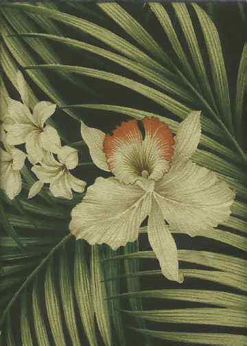 Click for an overall view