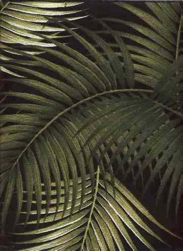 Click for an overall view