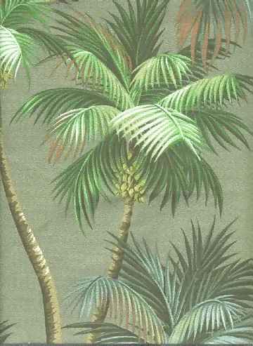 Click for overall view