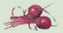 beets