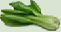 bok choy