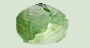 Head Cabbage