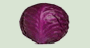 Red Cabbage