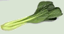 choy sum