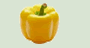 Yellow Pepper
