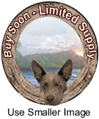 All Fabric Patterns Sell Out &Are Discontinued Regularly.