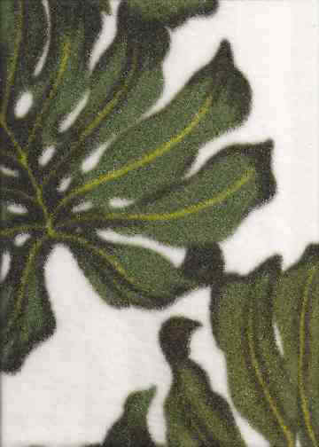 Click here for an overall view