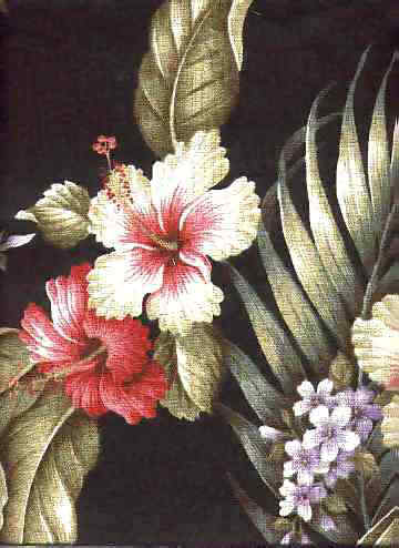 Click for an overall view