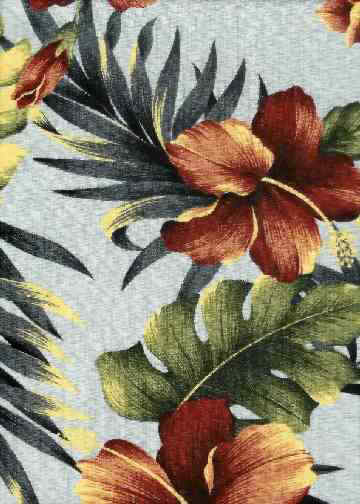Click for an overall view