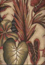 Click here for an overall view