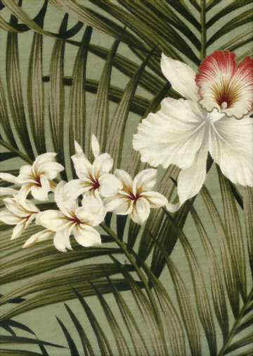 click for overall view